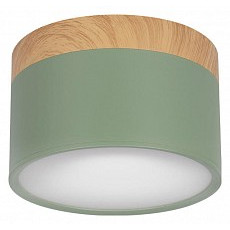 Накладной светильник loft it grape ...